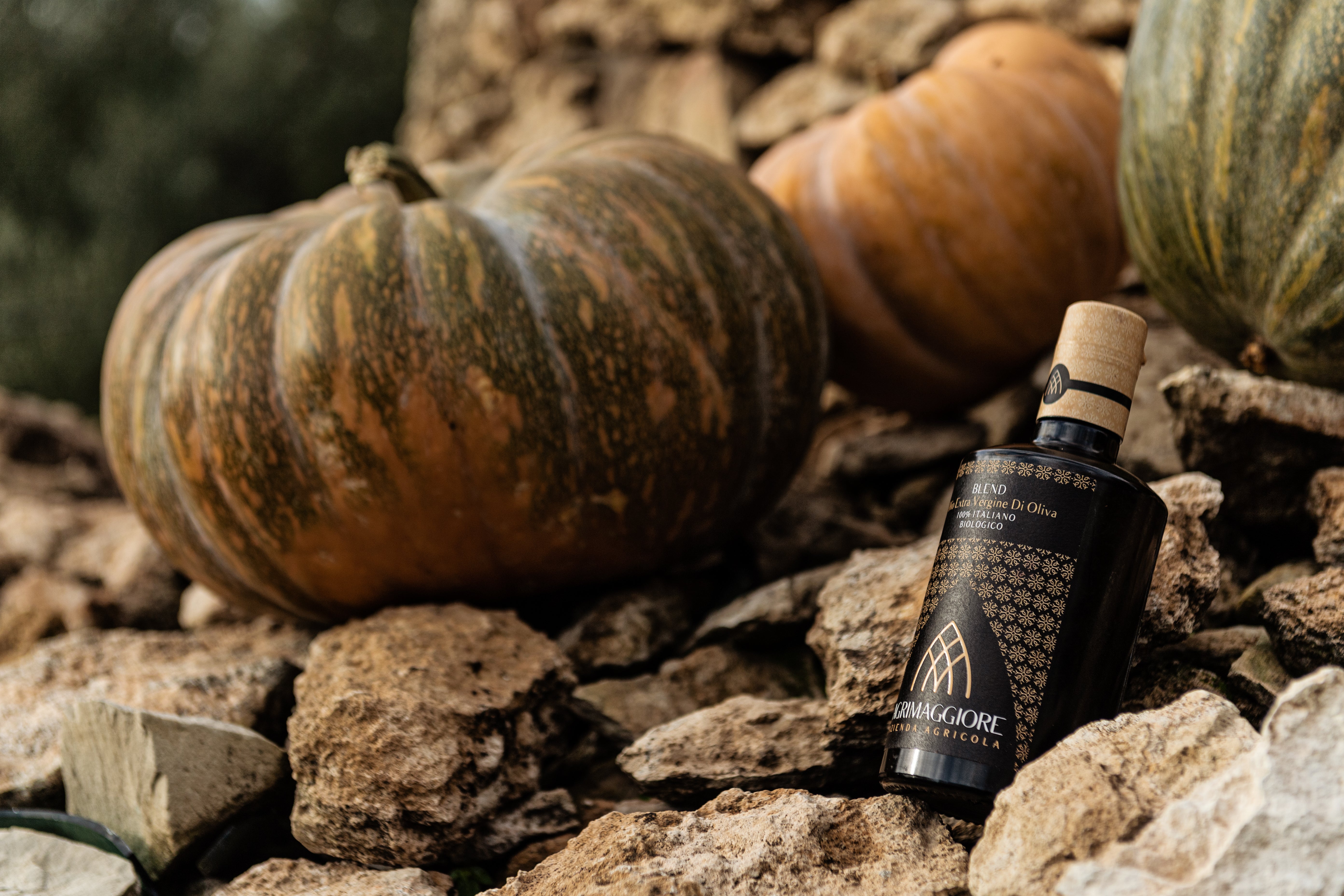 Oliva Biologico "Blend